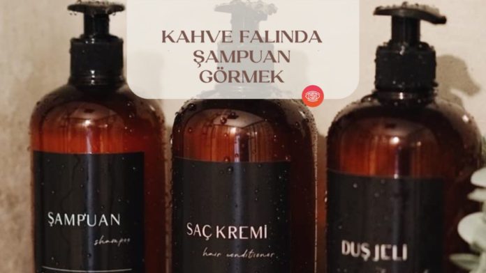 kahve-falinda-sampuan-gormek